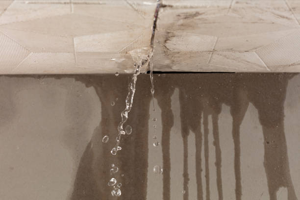 Professional Water Damage Repair technician working in Hamilton, WA